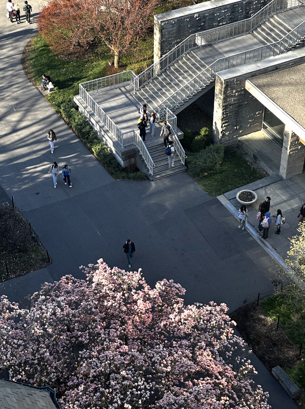 Some Cornell Propoganda
