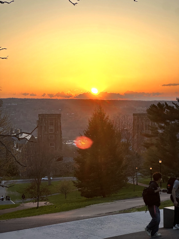 Some Cornell Propoganda
